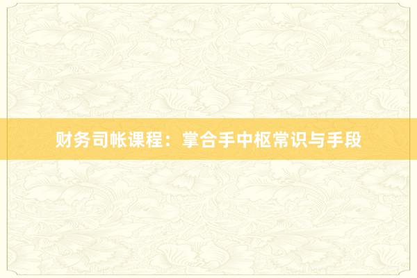 财务司帐课程：掌合手中枢常识与手段